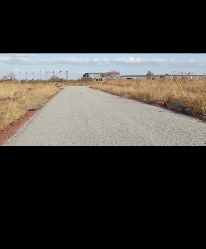 Norton Knowe stands - 4